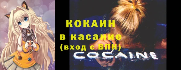 крисы Аркадак