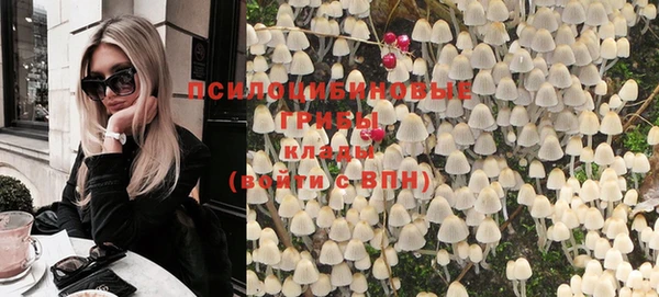 крисы Аркадак