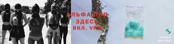 крисы Аркадак