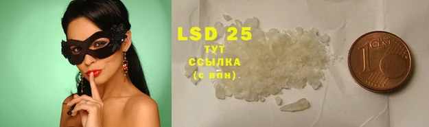 крисы Аркадак