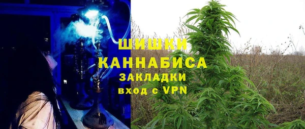 крисы Аркадак
