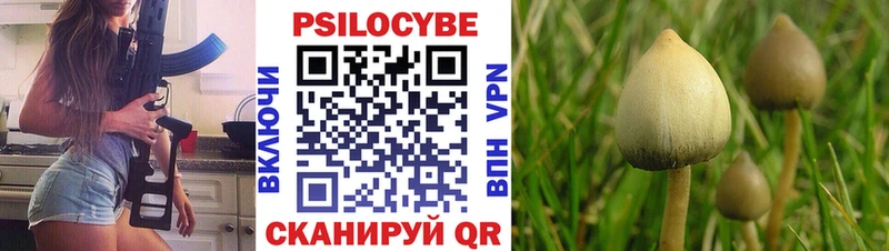 где продают наркотики  Камызяк  Галлюциногенные грибы мухоморы 